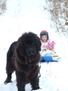 Ne��zen� st�ela